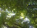 WP_20160927_11_27_07_Pro.jpg